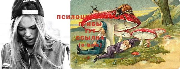 дживик Абинск