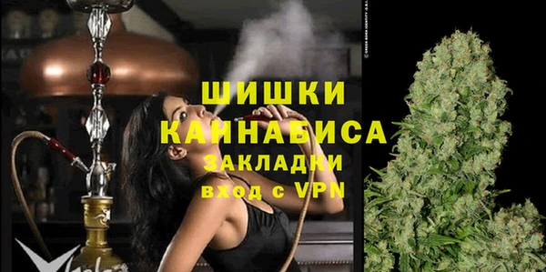 индика Алзамай