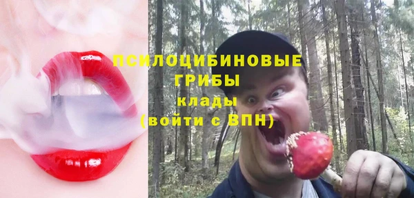 дурь Алексеевка