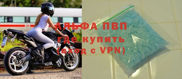 индика Алзамай