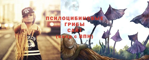 дурь Алексеевка