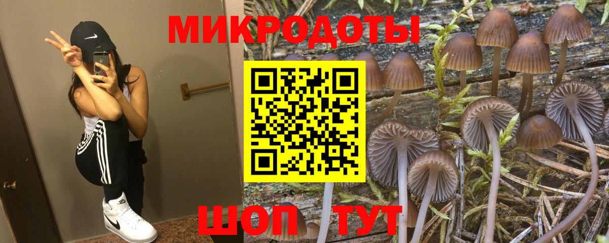 Галлюциногенные грибы Magic Shrooms Ухта