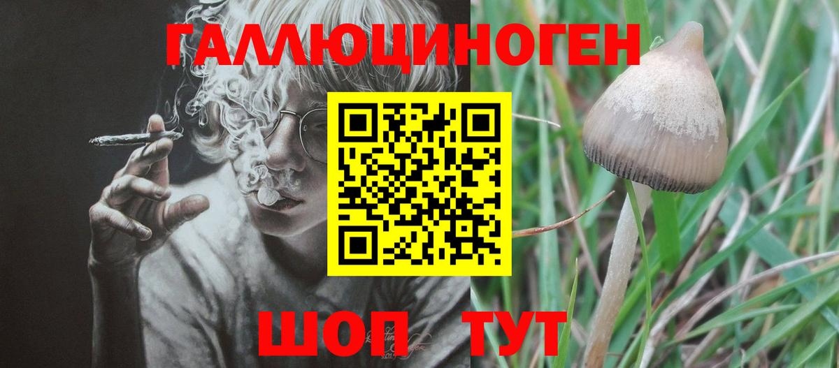 как найти наркотики  Галлюциногенные грибы прущие грибы  Вход с VPN  Ухта 