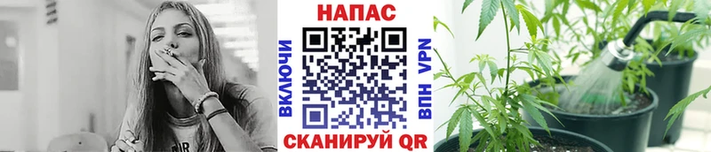 цены наркотик  Ухта  Бошки Шишки гибрид 